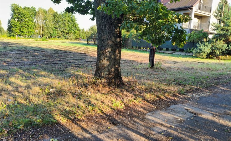 działka na sprzedaż - Halinów (gw), Cisie