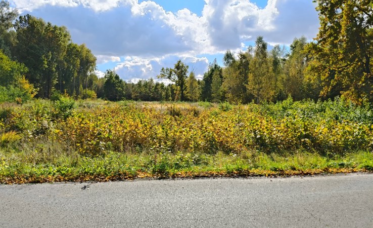 działka na sprzedaż - Mrozy, Wola Rafałowska