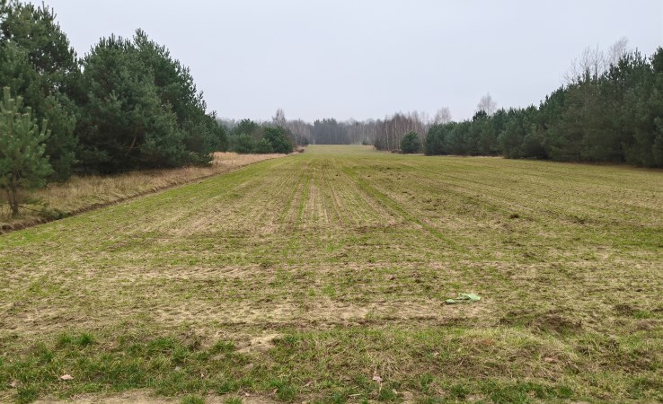 działka na sprzedaż - Mrozy, Guzew