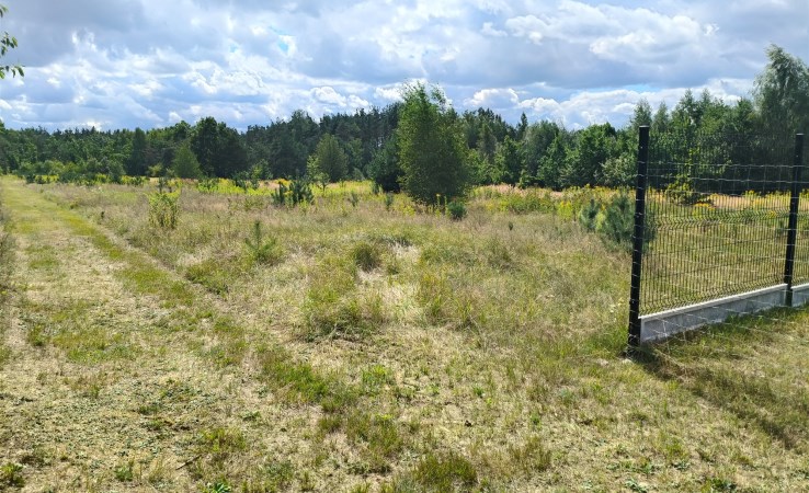 działka na sprzedaż - Mrozy, Wola Paprotnia